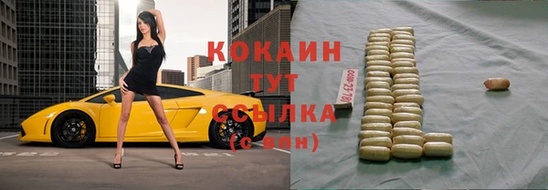 гашик Касимов
