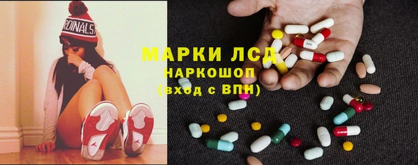 гашик Касимов